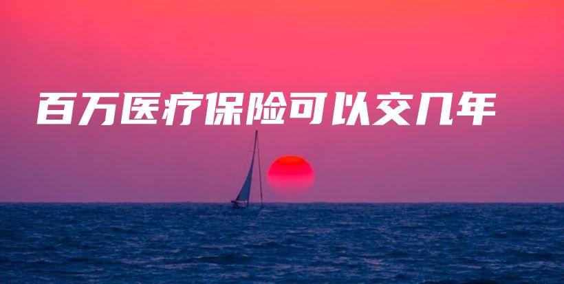 百万医疗保险可以交几年-保点通