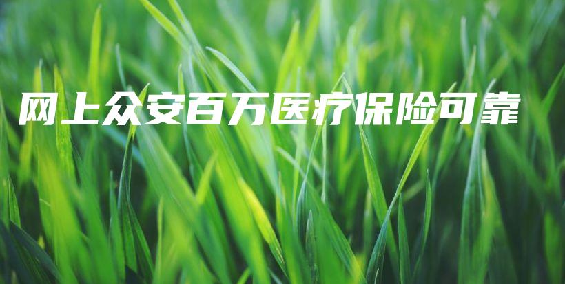 网上众安百万医疗保险可靠-保点通