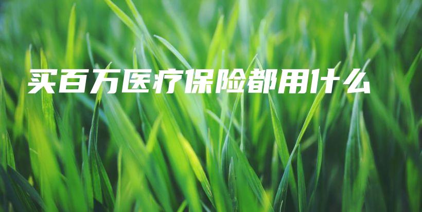 买百万医疗保险都用什么-保点通