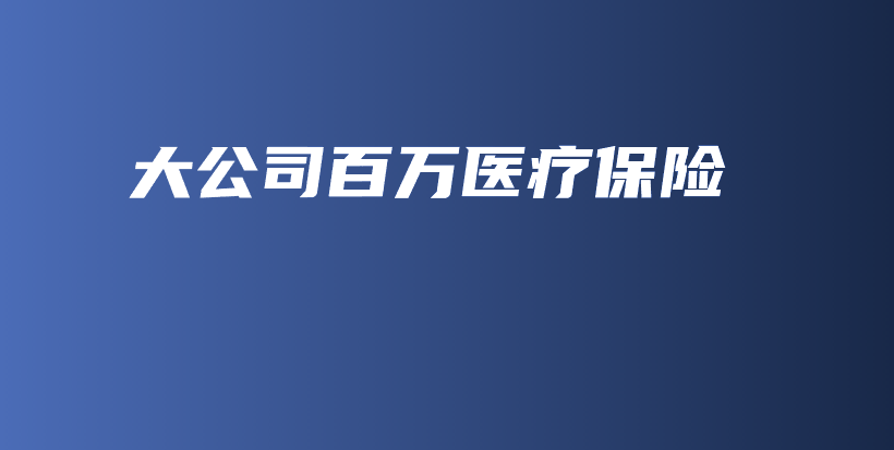 大公司百万医疗保险-保点通