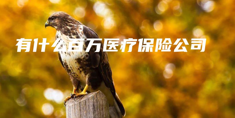 有什么百万医疗保险公司-保点通