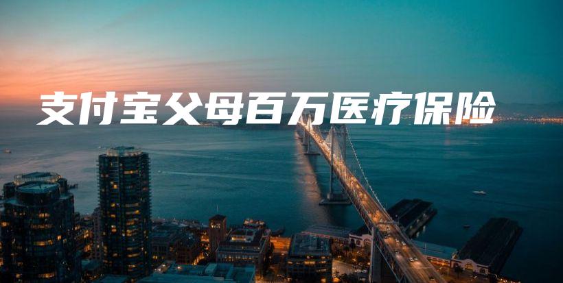 支付宝父母百万医疗保险-保点通