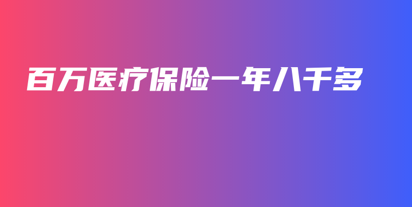 百万医疗保险一年八千多-保点通