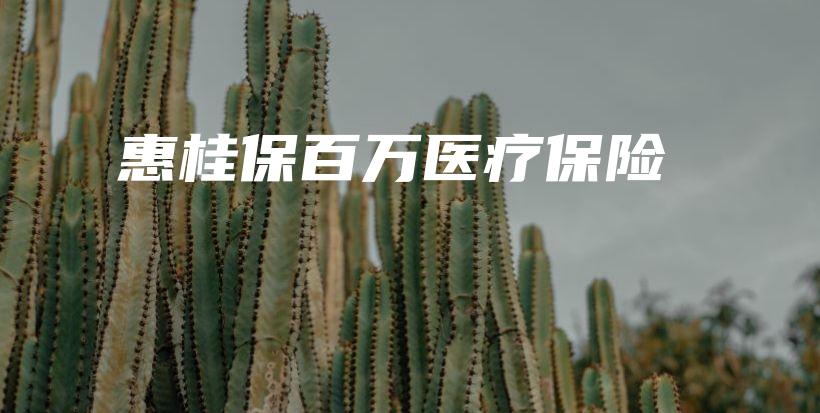 惠桂保百万医疗保险-保点通