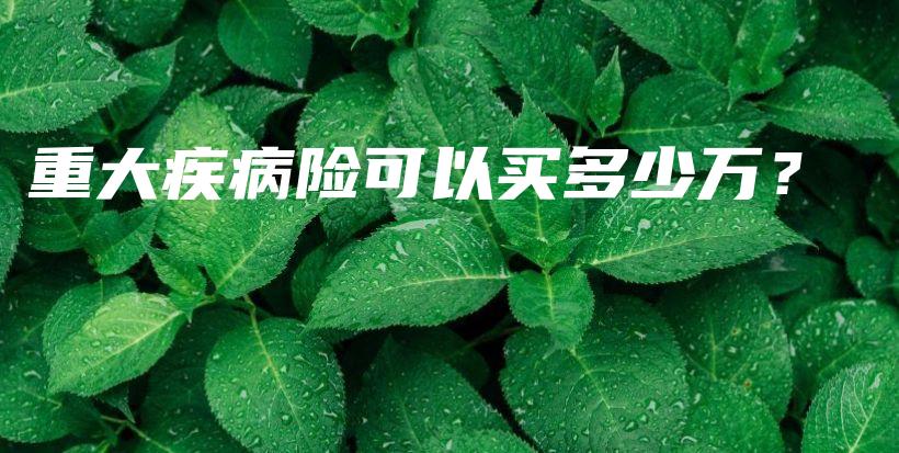 重大疾病险可以买多少万？-保点通