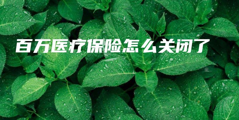 百万医疗保险怎么关闭了-保点通