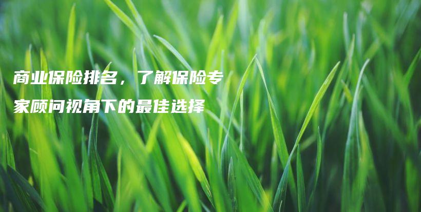 商业保险排名，了解保险专家顾问视角下的最佳选择-保点通