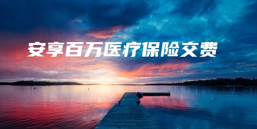 安享百万医疗保险交费-保点通