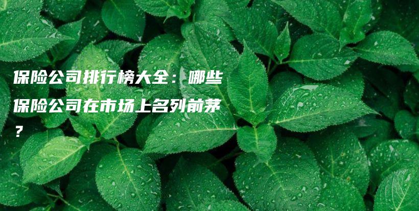 保险公司排行榜大全：哪些保险公司在市场上名列前茅？-保点通