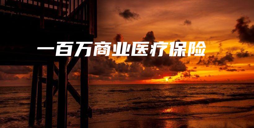一百万商业医疗保险-保点通