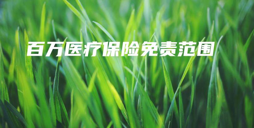百万医疗保险免责范围-保点通