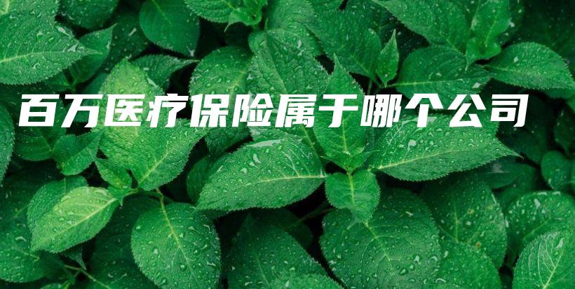 百万医疗保险属于哪个公司-保点通