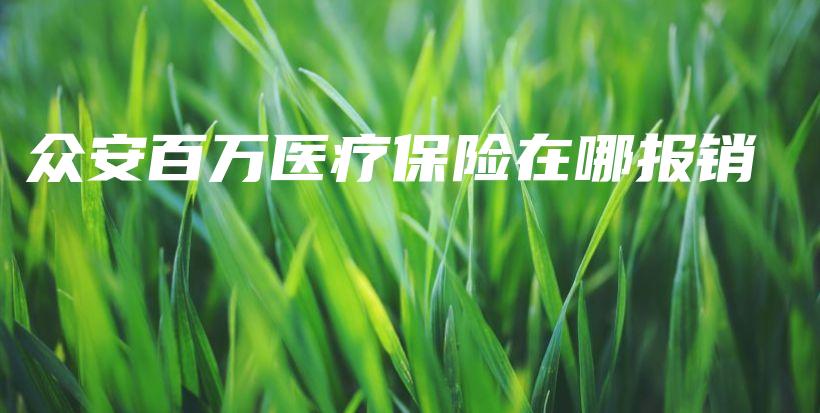 众安百万医疗保险在哪报销-保点通