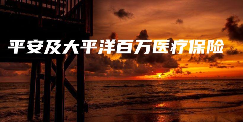 平安及大平洋百万医疗保险-保点通