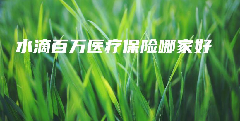 水滴百万医疗保险哪家好-保点通