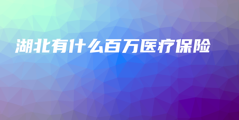湖北有什么百万医疗保险-保点通