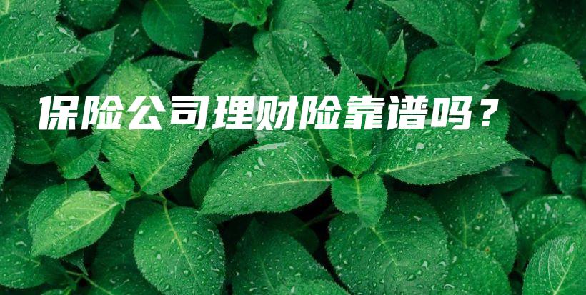 保险公司理财险靠谱吗？-保点通