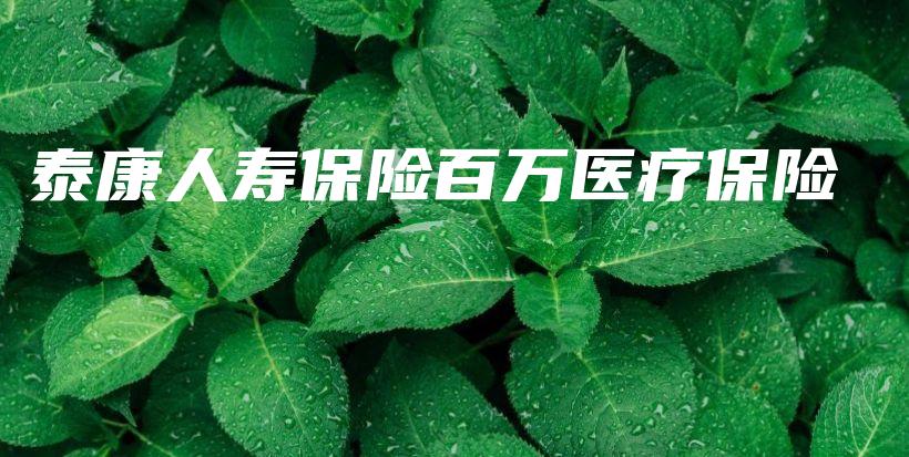 泰康人寿保险百万医疗保险-保点通