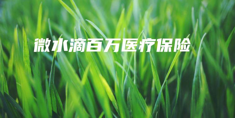 微水滴百万医疗保险-保点通
