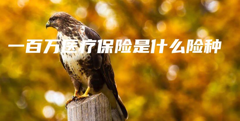 一百万医疗保险是什么险种-保点通