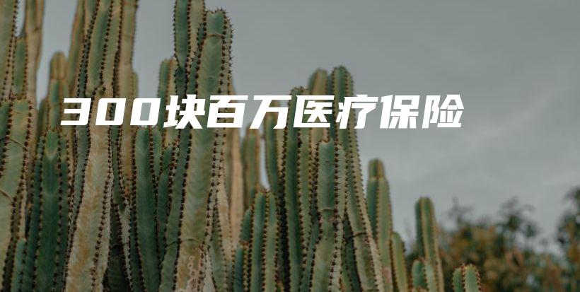 300块百万医疗保险-保点通