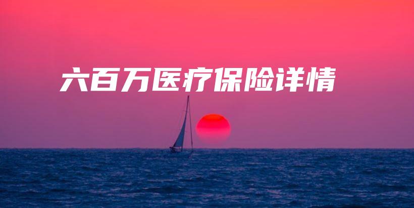 六百万医疗保险详情-保点通
