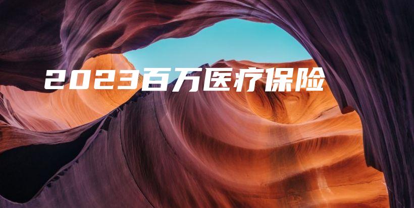 2023百万医疗保险-保点通