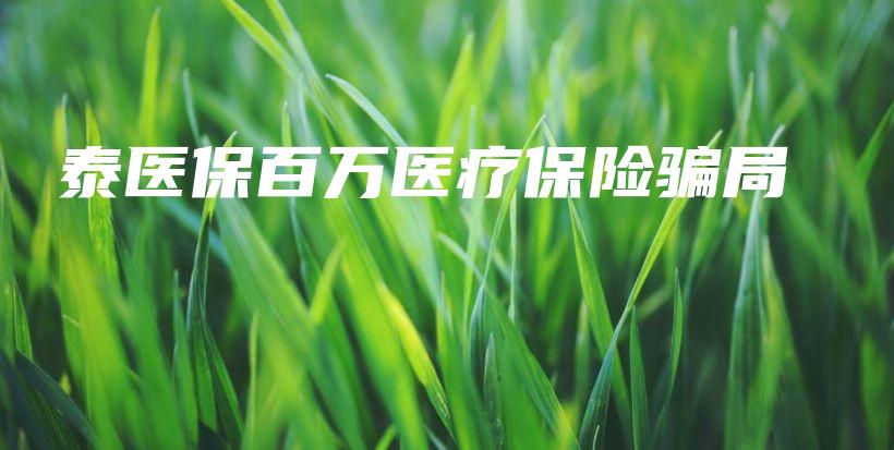 泰医保百万医疗保险骗局-保点通