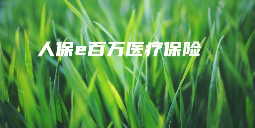 人保e百万医疗保险-保点通