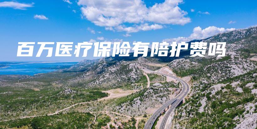 百万医疗保险有陪护费吗-保点通