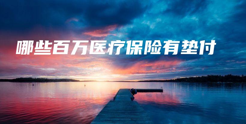 哪些百万医疗保险有垫付-保点通
