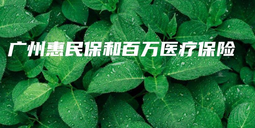 广州惠民保和百万医疗保险-保点通