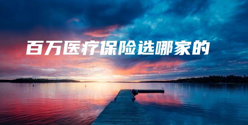 百万医疗保险选哪家的-保点通