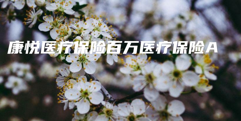 康悦医疗保险百万医疗保险A-保点通