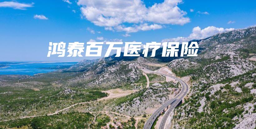 鸿泰百万医疗保险-保点通
