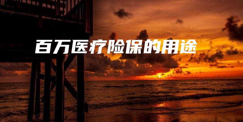 百万医疗险保的用途-保点通