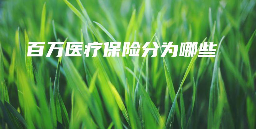 百万医疗保险分为哪些-保点通