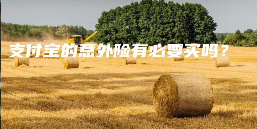 支付宝的意外险有必要买吗？-保点通