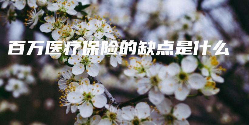 百万医疗保险的缺点是什么-保点通