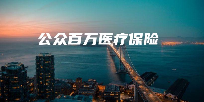 公众百万医疗保险-保点通