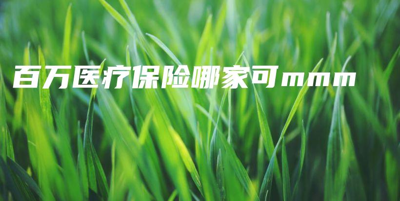 百万医疗保险哪家可mmm-保点通