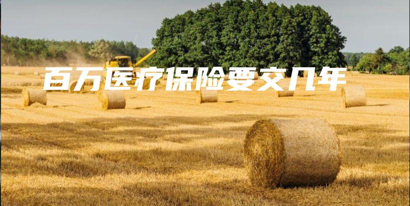 百万医疗保险要交几年-保点通