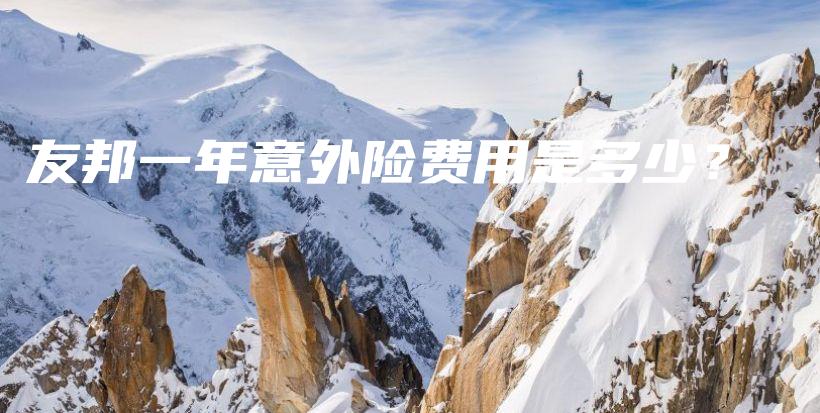 友邦一年意外险费用是多少？-保点通