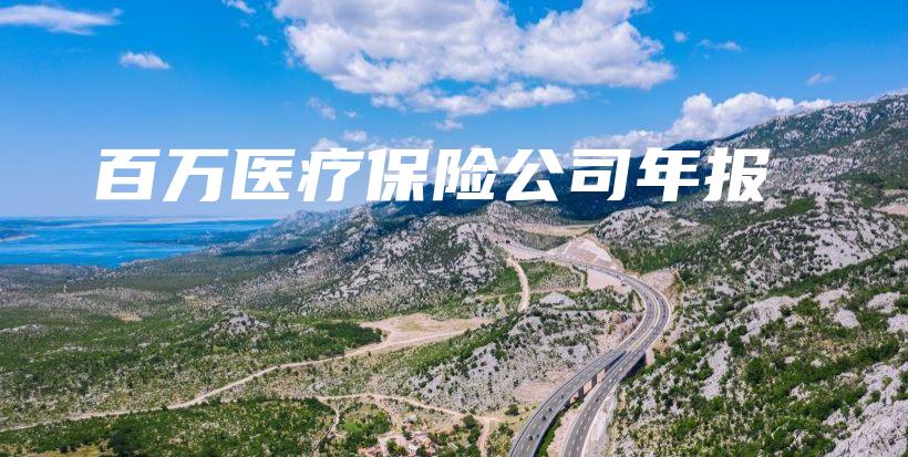 百万医疗保险公司年报插图 百万医疗保险公司年报插图