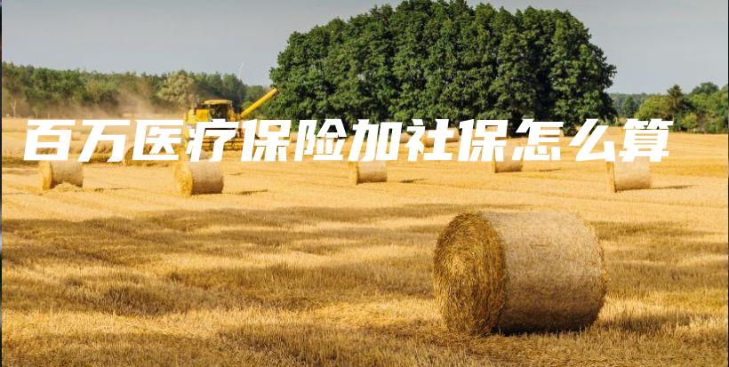 百万医疗保险加社保怎么算-保点通