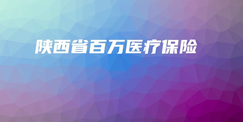 陕西省百万医疗保险-保点通