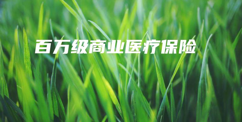 百万级商业医疗保险-保点通
