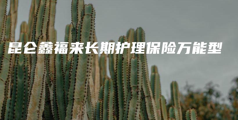 昆仑鑫福来长期护理保险万能型-保点通