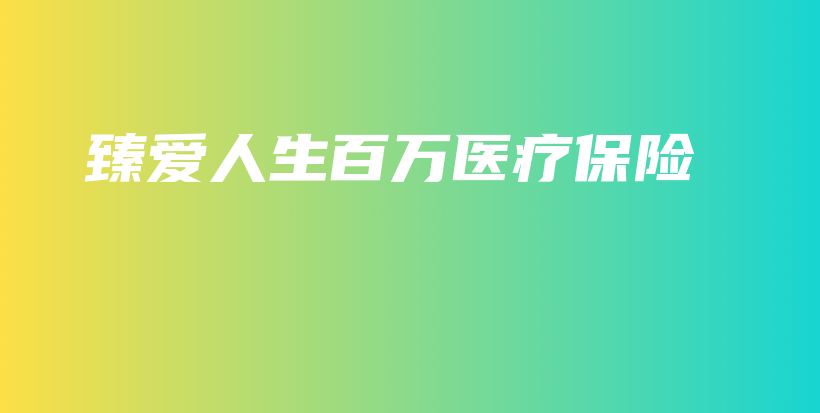 臻爱人生百万医疗保险-保点通