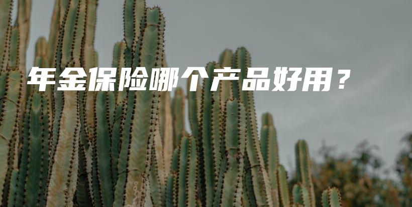 年金保险哪个产品好用？-保点通